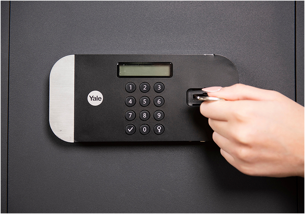 YALE Maximum Security Professional YSEM/520/EG1 YALE Maximum Security Professional YSEM/520/EG1